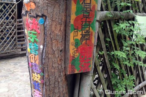桐庐石舍香樟营地民宿