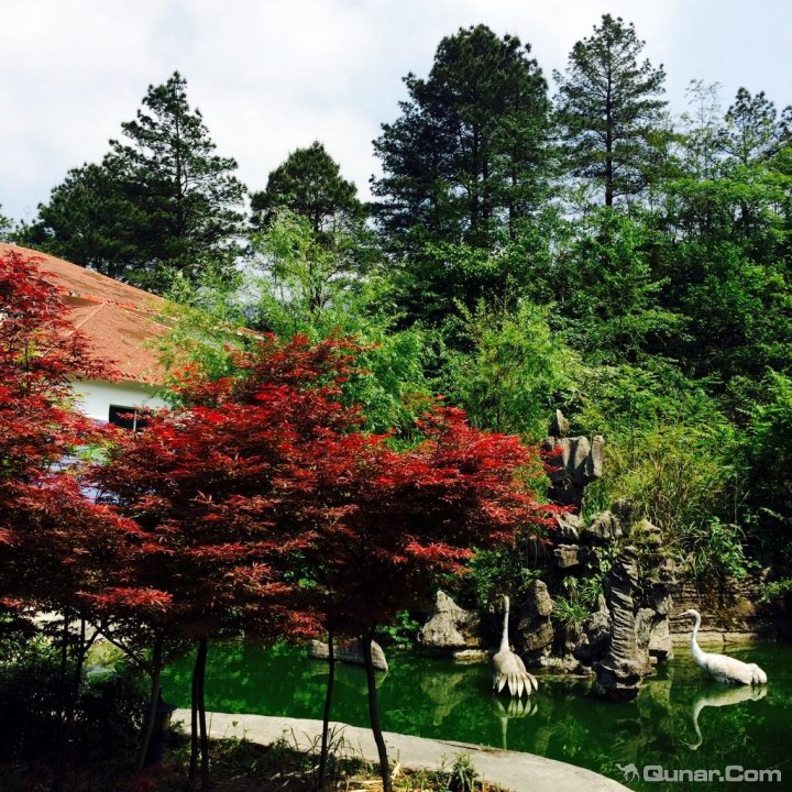 重庆市綦江区黑山镇南门村江流坝康居房(近黑山谷景区南门)