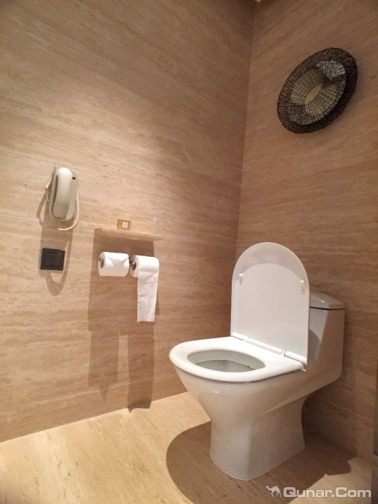 香港丽思卡尔顿酒店为全球最高的酒店。酒店地理位置优越,毗邻坐拥百万平方尺的圆方商场,港铁站仅举步之遥,前往香港国际机场仅需20分钟车程,只需5分钟便到达中环。位处九龙环球贸易广场的102至118层,坐拥维多利亚港及香港岛的壮丽美景,以崭新时尚的方式,呈现丽思卡尔顿品牌的经典及优雅风格。六间餐厅及酒吧包括中餐厅及意大利餐厅,以及在楼高490米之上的顶楼酒吧。水疗中心占地860平方米,设9间豪华理疗室和2间双人套房,由世界水疗权威ESPA提供崭新的水疗疗程。酒店的室内游泳池位于顶层及设有LED天花屏幕。另外,