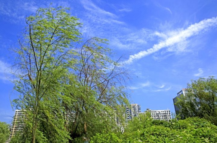 佳园旅馆(红旗南路店)