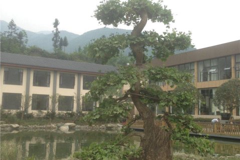 [成都][成都虹口新联三文鱼度假村]预订及特惠价