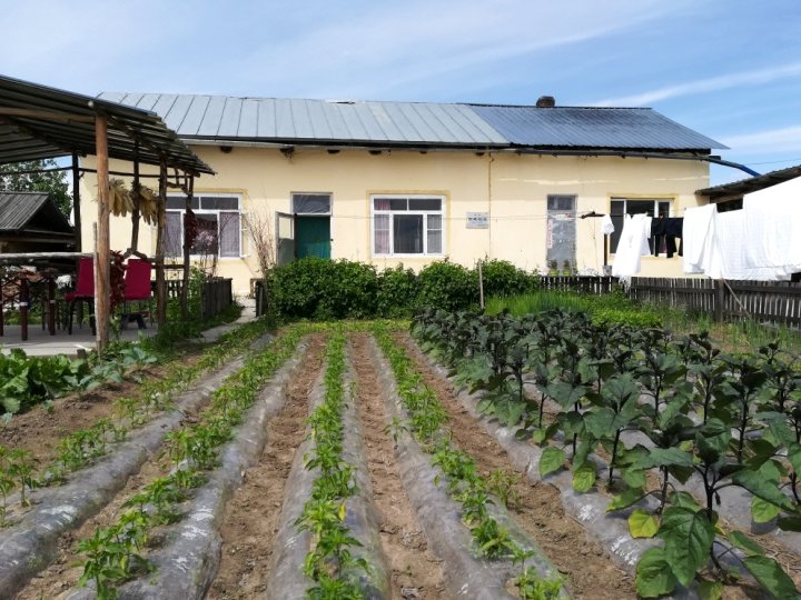 北极村聚鑫农陈家院